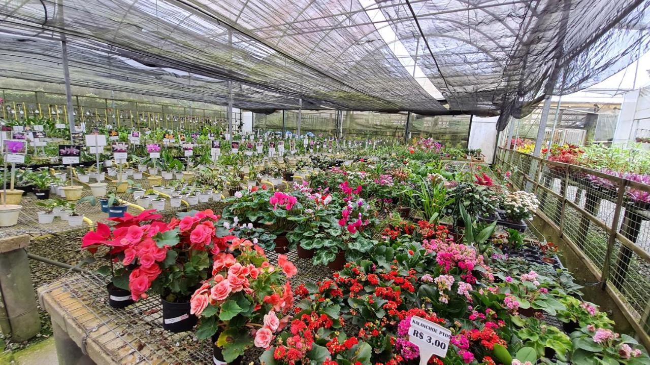 Estudio 427 Teresópolis מראה חיצוני תמונה